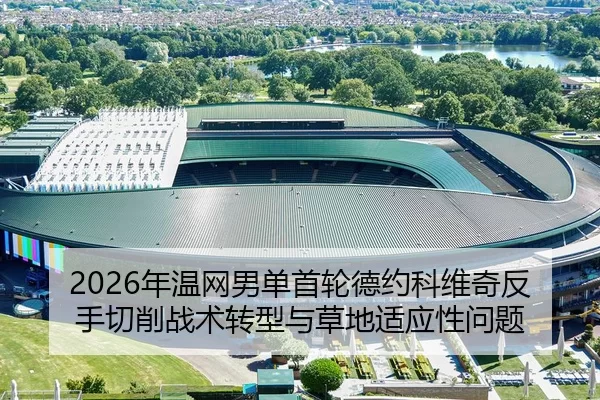 2026年温网男单首轮德约科维奇反手切削战术转型与草地适应性问题