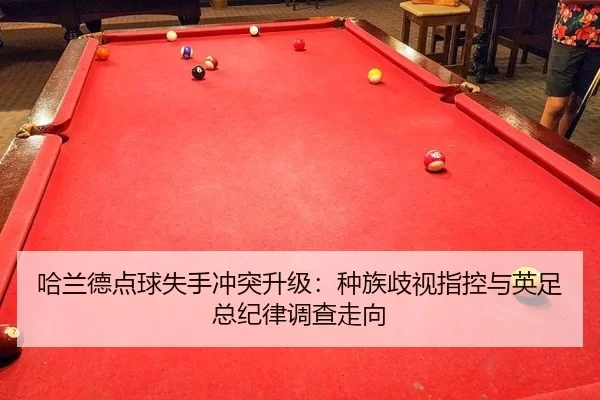ha-lan-de-dian-qiu-shi-shou-chong-tu-sheng-ji-zhong-zu-qi-shi-zhi-kong-yu-ying-zu-zong-ji-lv-diao-cha-zou-xiang-3-519.jpg